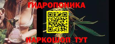 амф Новокубанск
