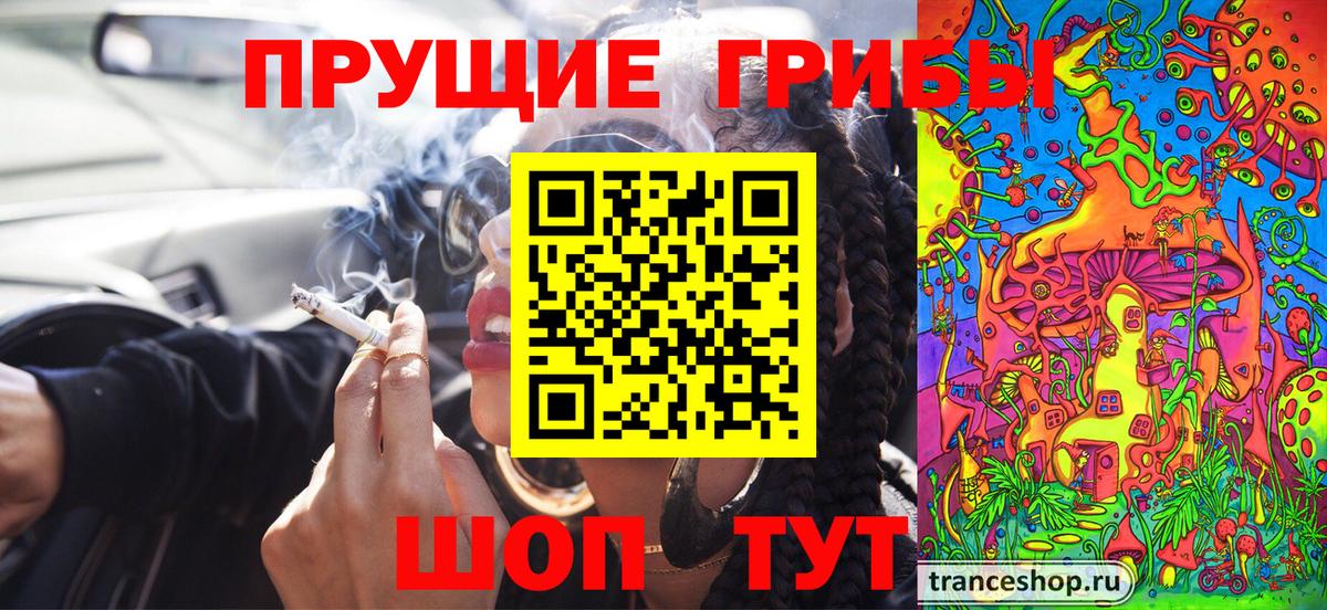 Псилоцибиновые грибы Psilocybe Сегежа